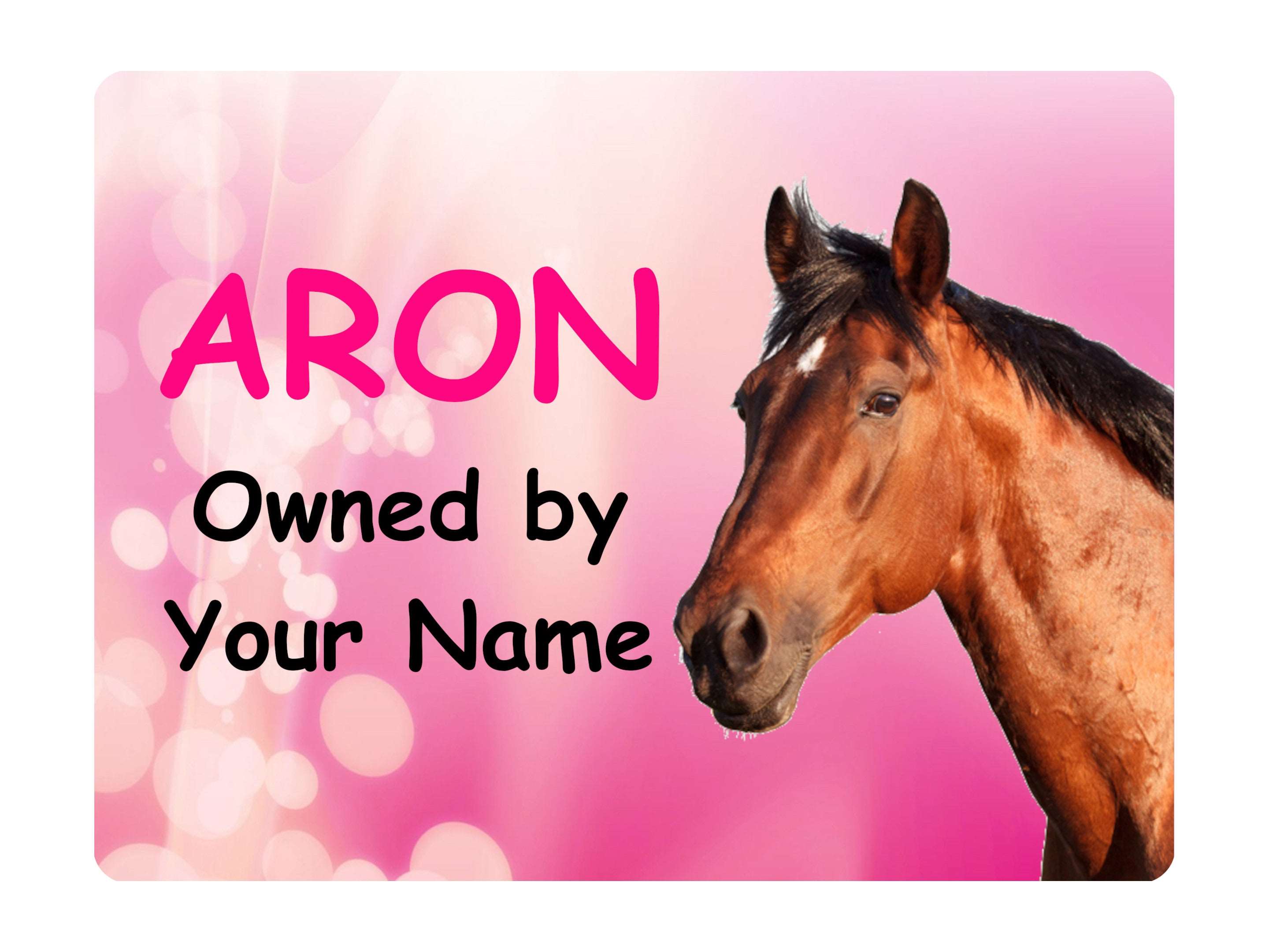 1138 Custom Personalised Horse Pony Metal Aluminium Sign Plaque Stable Door Gate