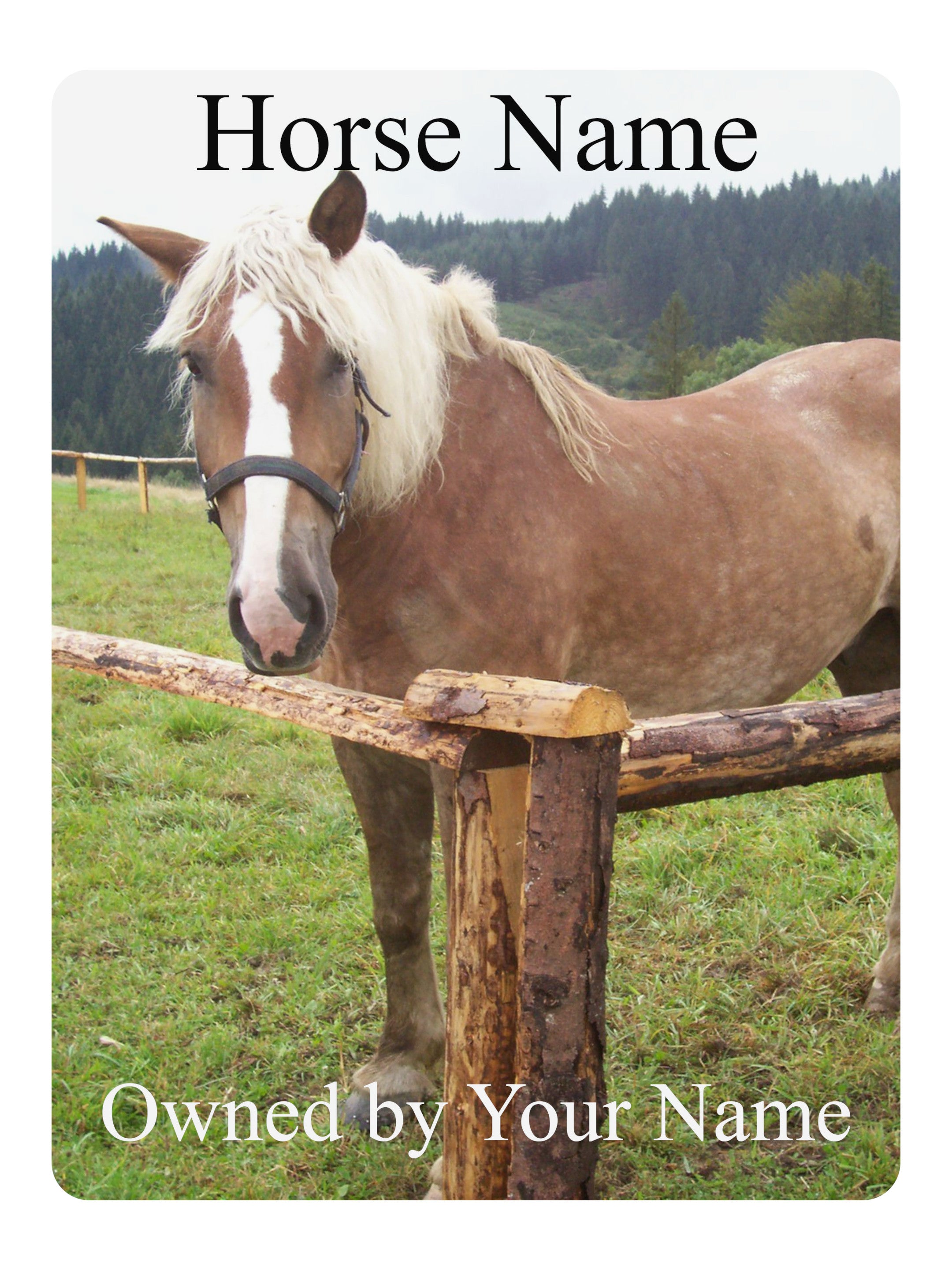 2330 Custom Personalised Horse Photo Name Stable Metal Aluminium Sign Plaque