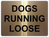 UV069 DOGS RUNNING LOOSE Garden Metal Aluminium Plaque Sign Door Gate A4