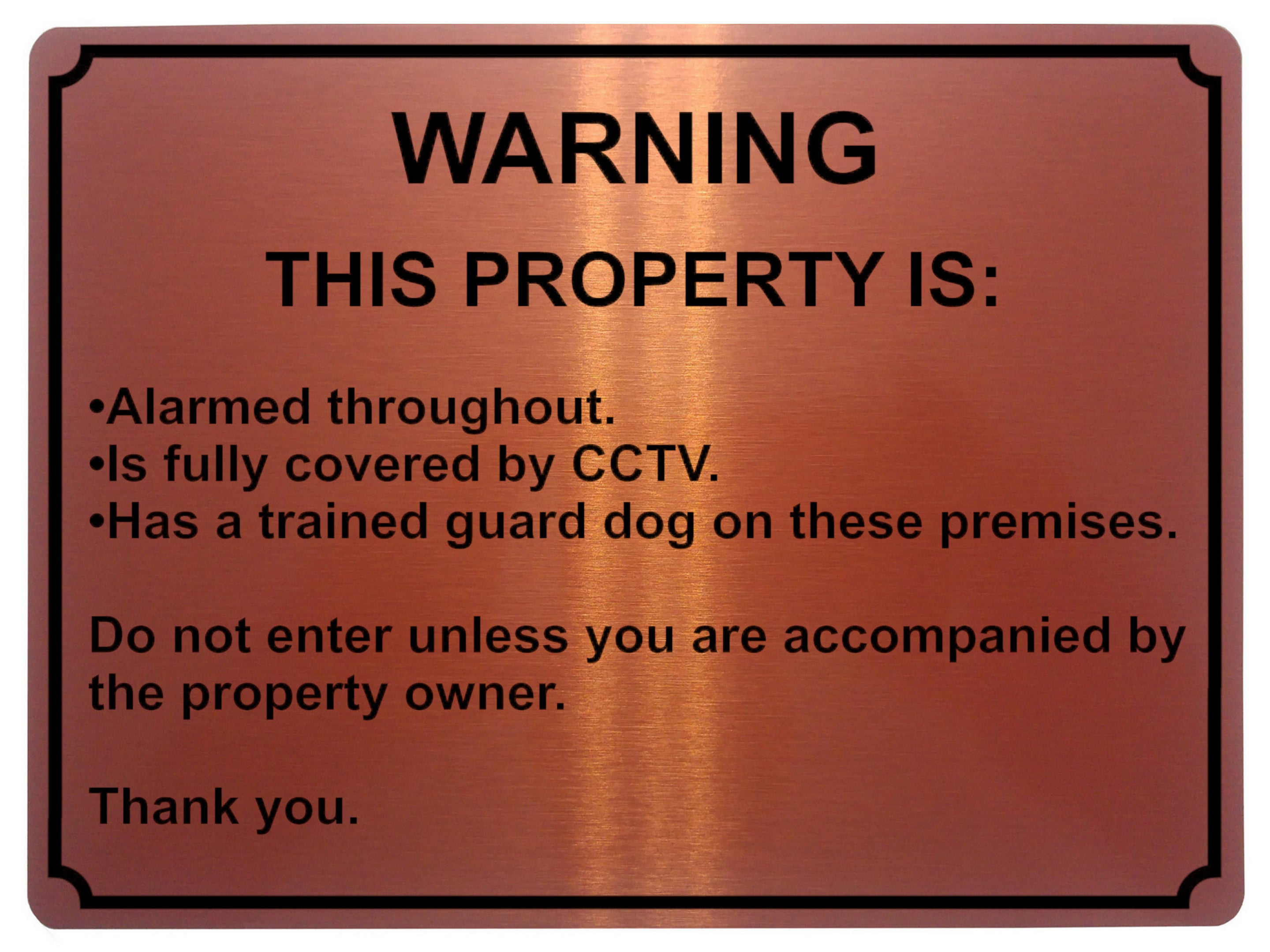 1916 WARNING THIS PROPERTY IS ALARMED CCTV Door Metal Aluminium Plaque Sign