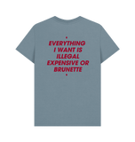 Stone Blue Printed T-shirt Back