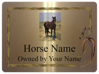 2228 Custom Personalised Horse Photo Name Stable Metal Aluminium Sign Plaque