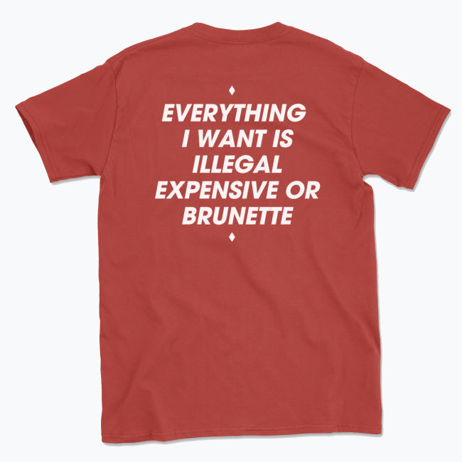 044 ILLEGAL, EXPENSIVE OR BRUNETTE Funny T-shirt Tee Back Printing