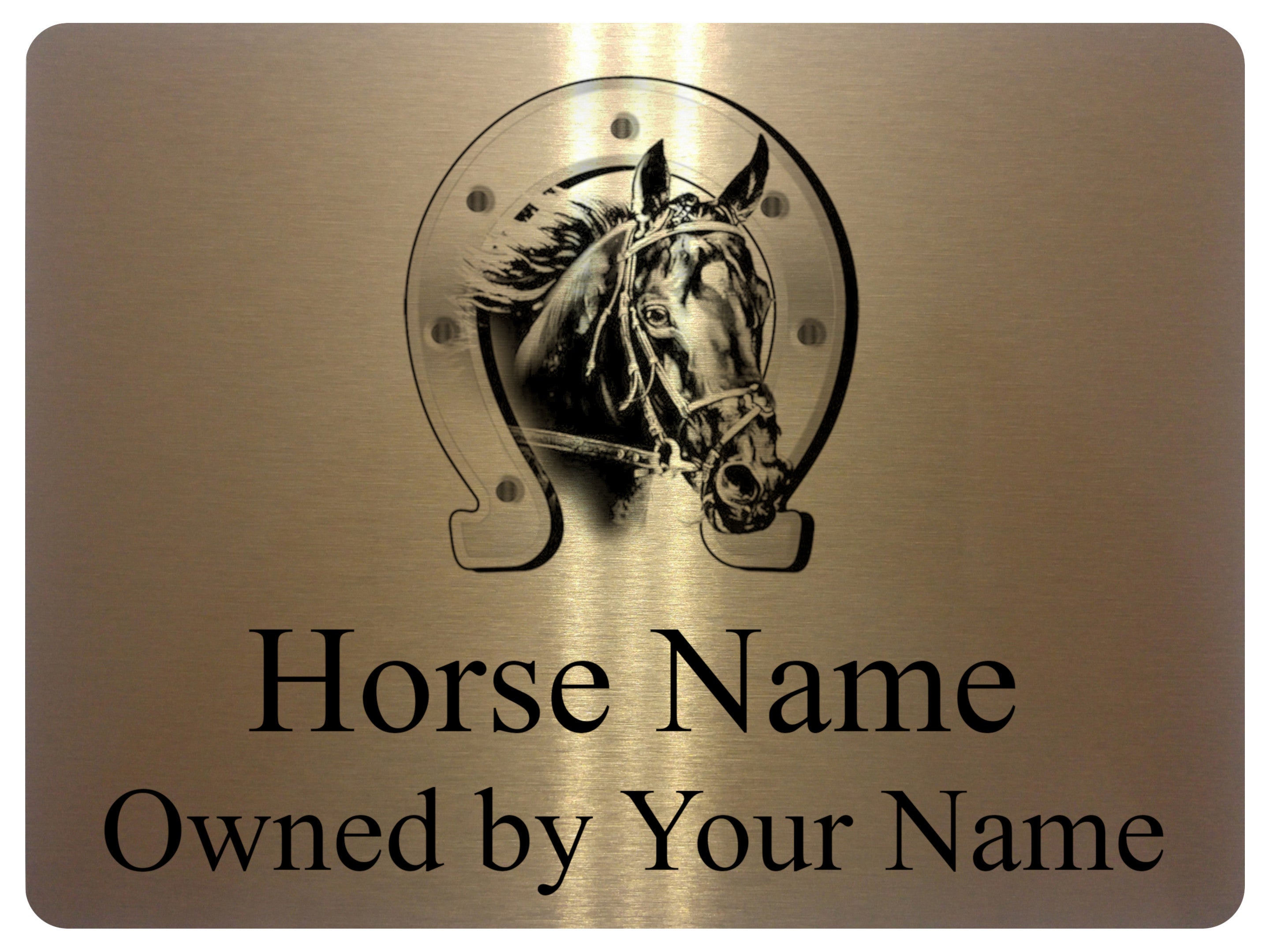 UV065 Custom Personalised Horse Pony Stable Door Metal Aluminium Plaque Sign A4