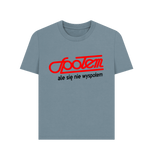 Stone Blue Printed T-shirt Front