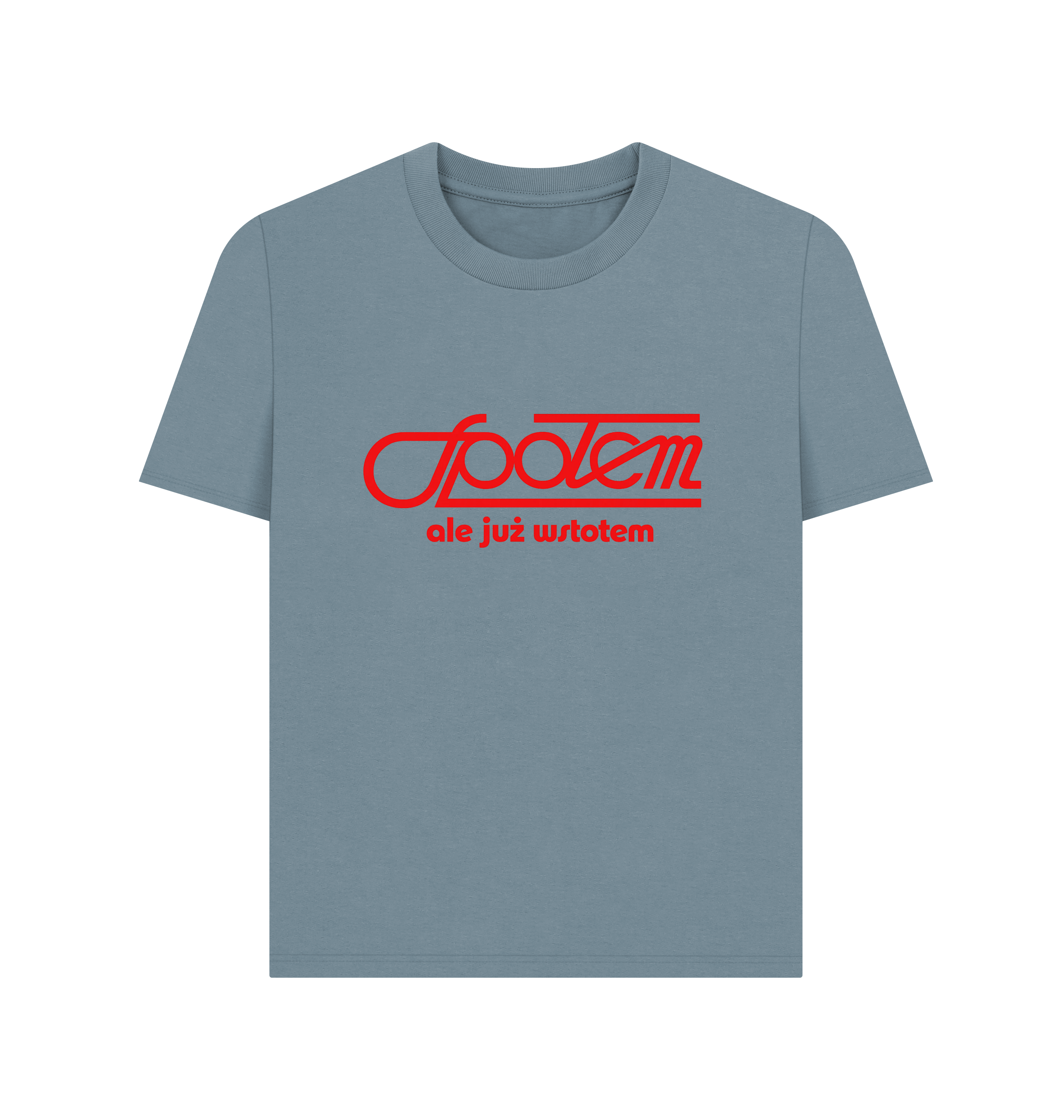 Stone Blue Printed T-shirt Front