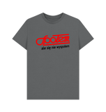 Slate Grey Printed T-shirt Front