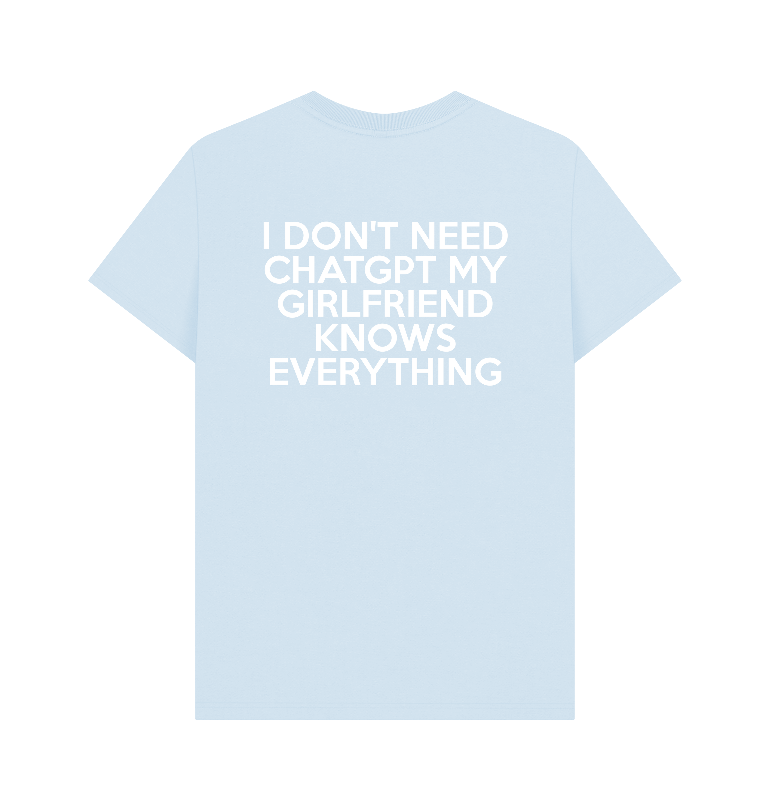 Sky Blue Printed T-shirt Back
