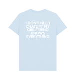 Sky Blue Printed T-shirt Back