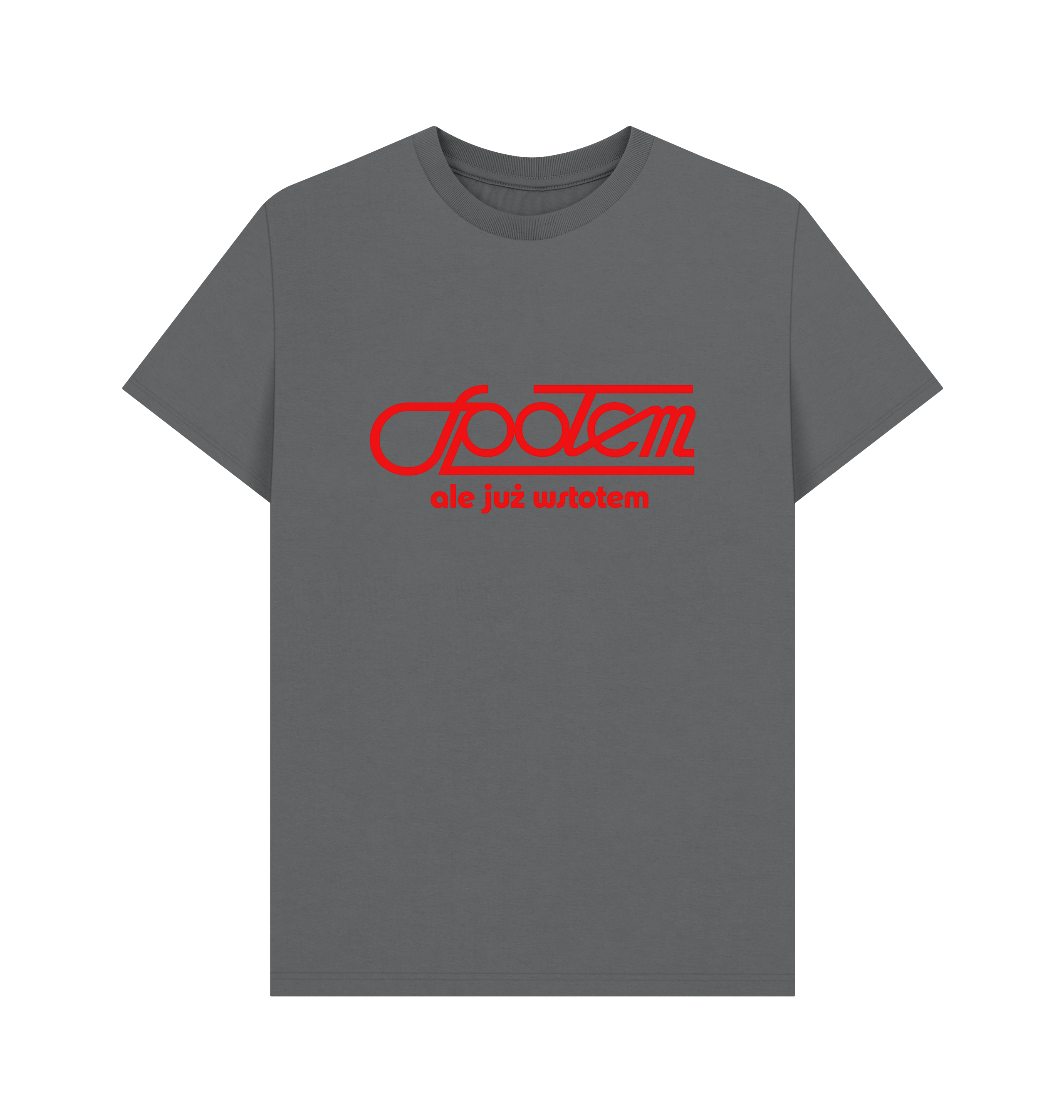 Slate Grey Printed T-shirt Front