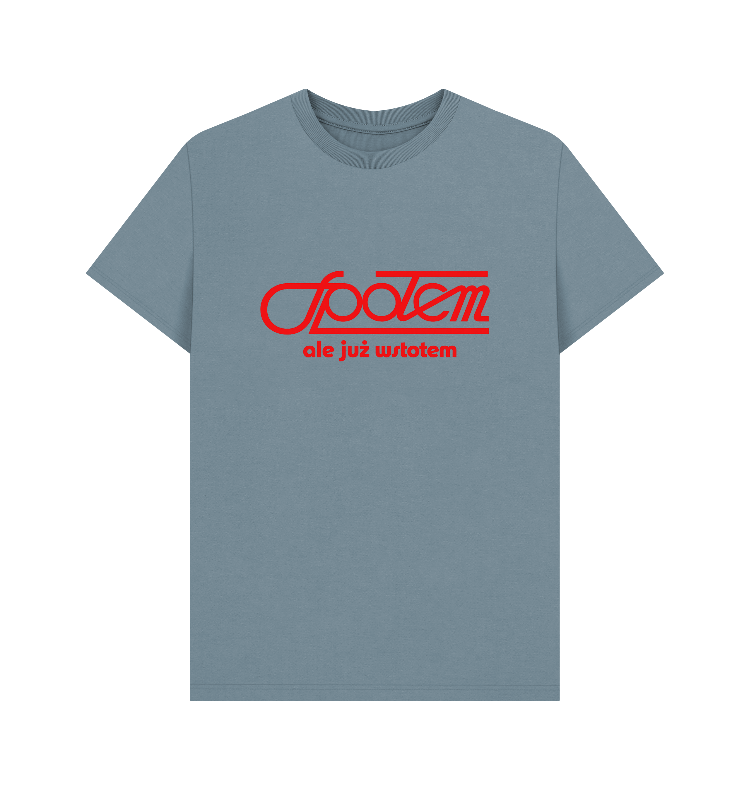 Stone Blue Printed T-shirt Front