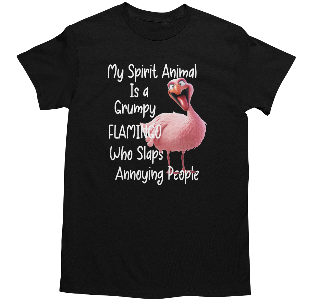 Gildan Men's Funny Novelty Sarcastic Joke Graphic T-Shirt