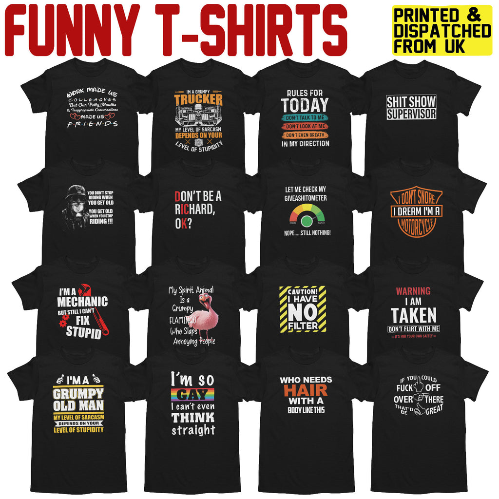 Gildan Men's Funny Novelty Sarcastic Joke Graphic T-Shirt