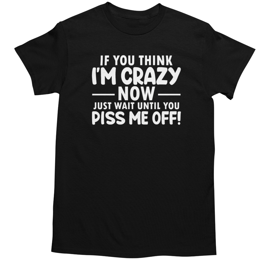 Gildan Men's Funny Novelty Sarcastic Joke Graphic T-Shirt