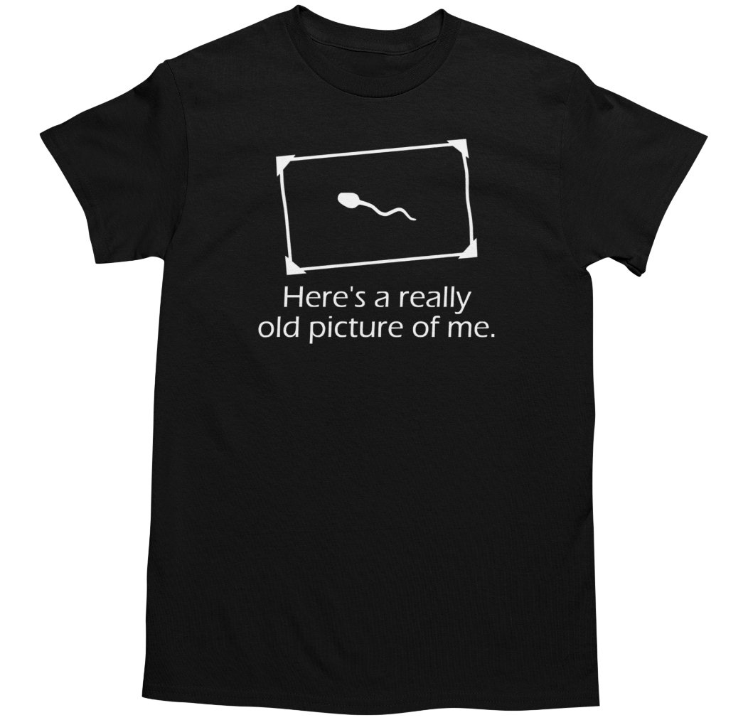 Gildan Men's Funny Novelty Sarcastic Joke Graphic T-Shirt
