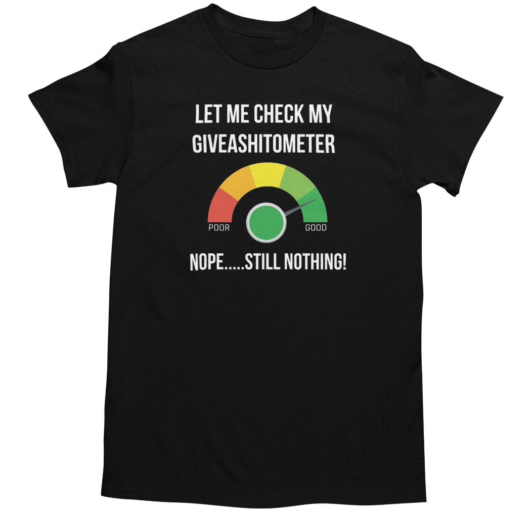 Gildan Men's Funny Novelty Sarcastic Joke Graphic T-Shirt