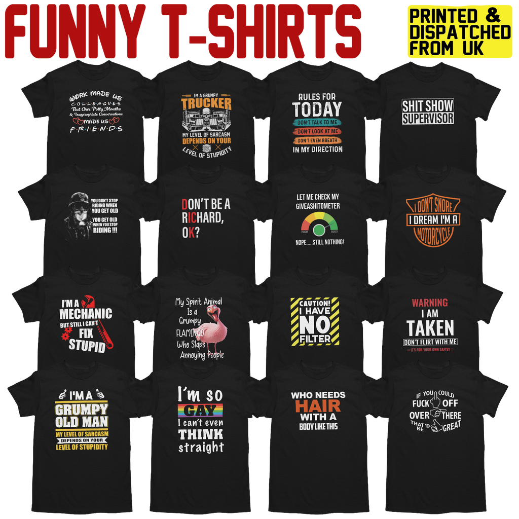 Gildan Men's Funny Novelty Sarcastic Joke Graphic T-Shirt