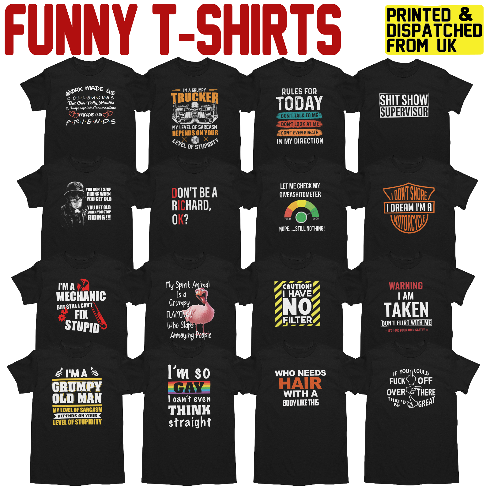Gildan Men's Funny Novelty Sarcastic Joke Graphic T-Shirt