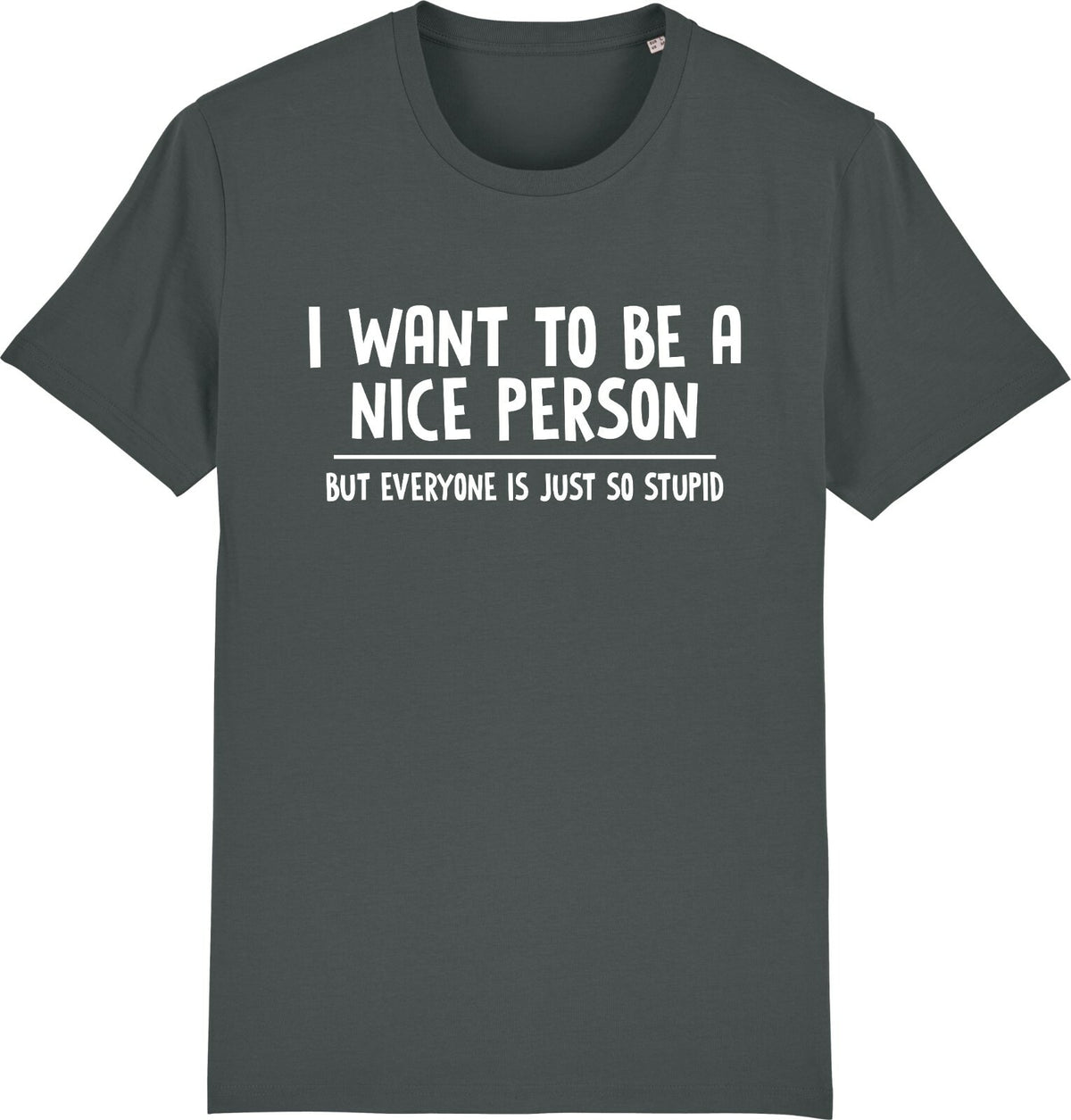 Fruit of the Loom Men's Nice Person Graphic T-Shirt