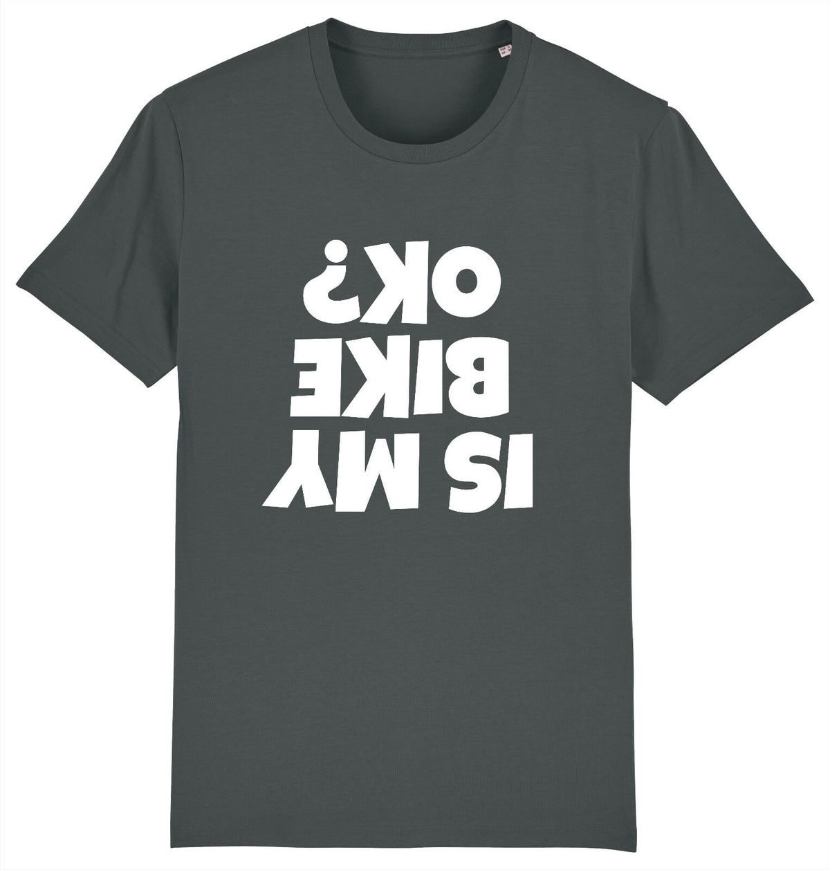 Fruit of the Loom Men's Is My Bike OK Graphic T-Shirt