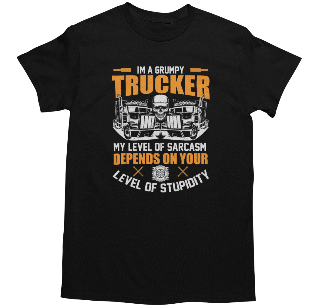 Gildan Men's Funny Novelty Sarcastic Joke Graphic T-Shirt