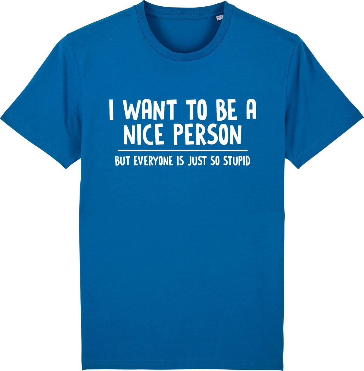 Fruit of the Loom Men's Nice Person Graphic T-Shirt