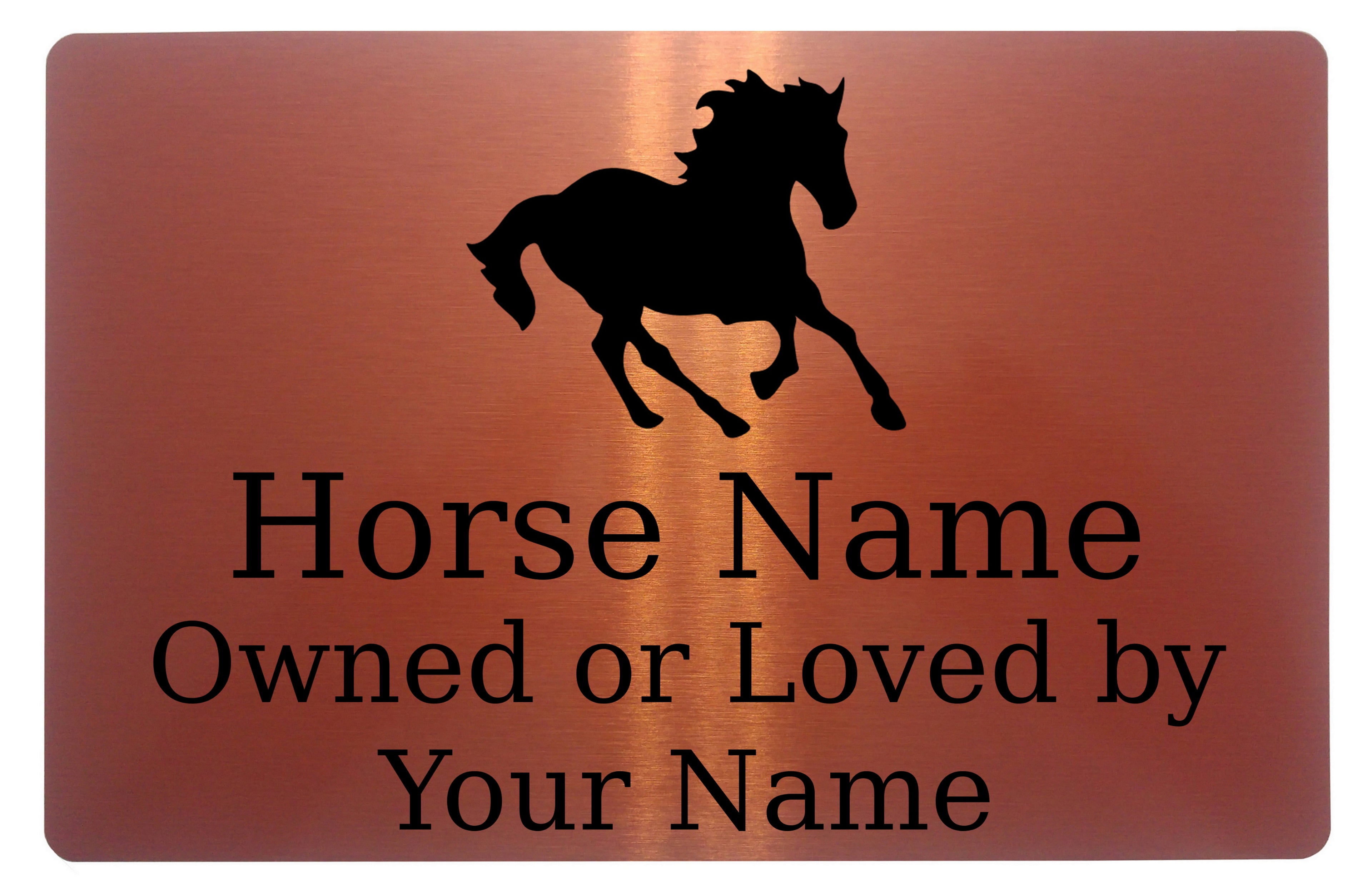 Custom Personalised Horse Name Metal Aluminium Plaque Sign For Stable Door