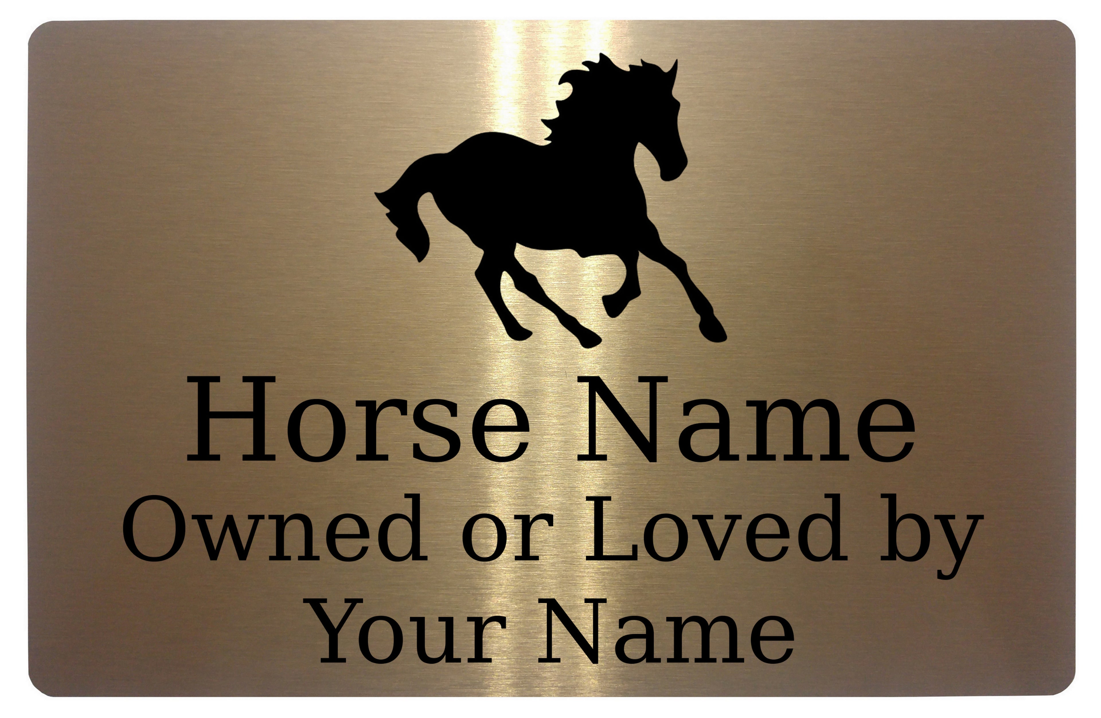 Custom Personalised Horse Name Metal Aluminium Plaque Sign For Stable Door