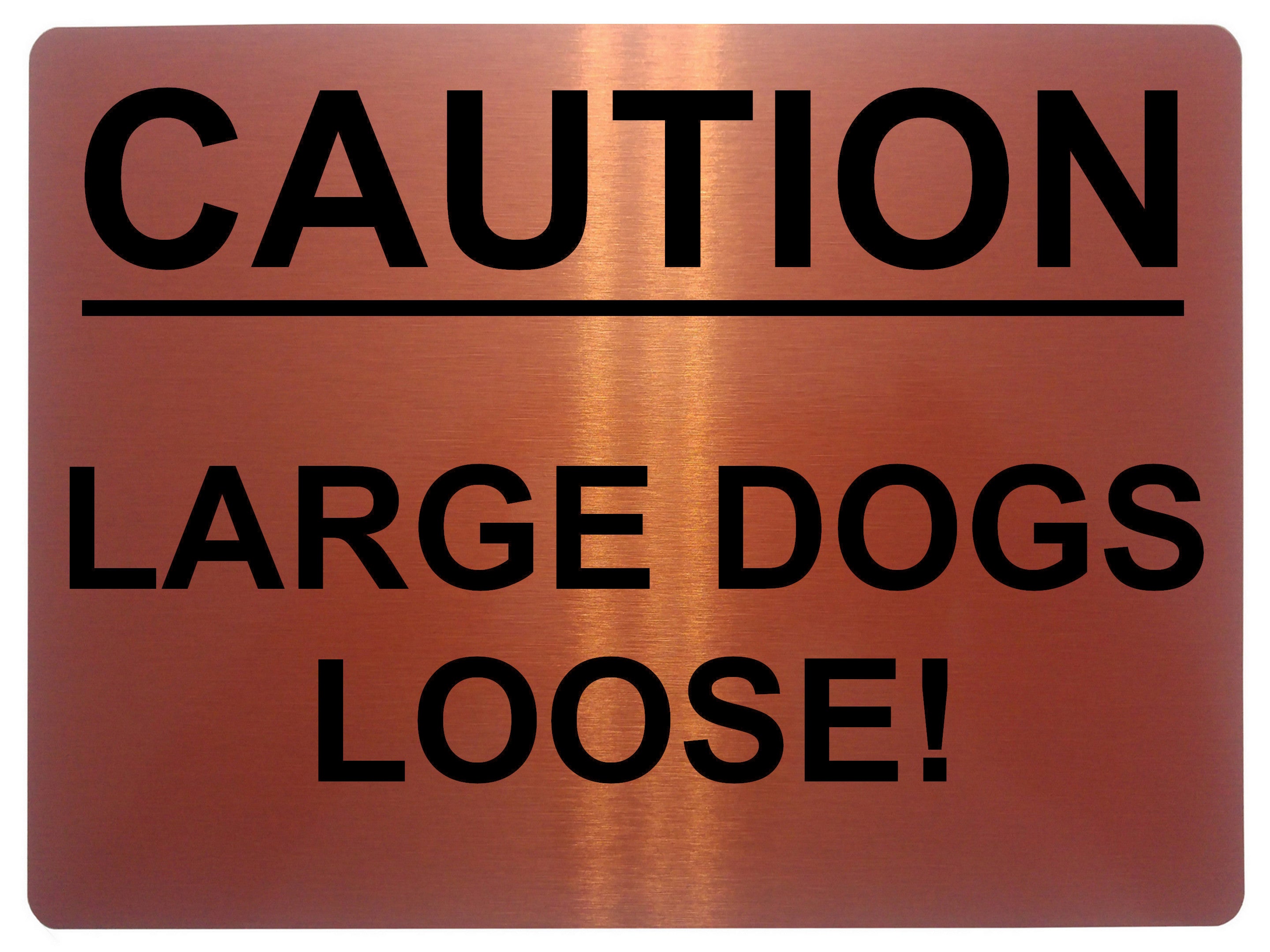 1358 CAUTION LARGE DOGS LOOSE! Safety Metal Aluminium Plaque Sign Door Gate Garden