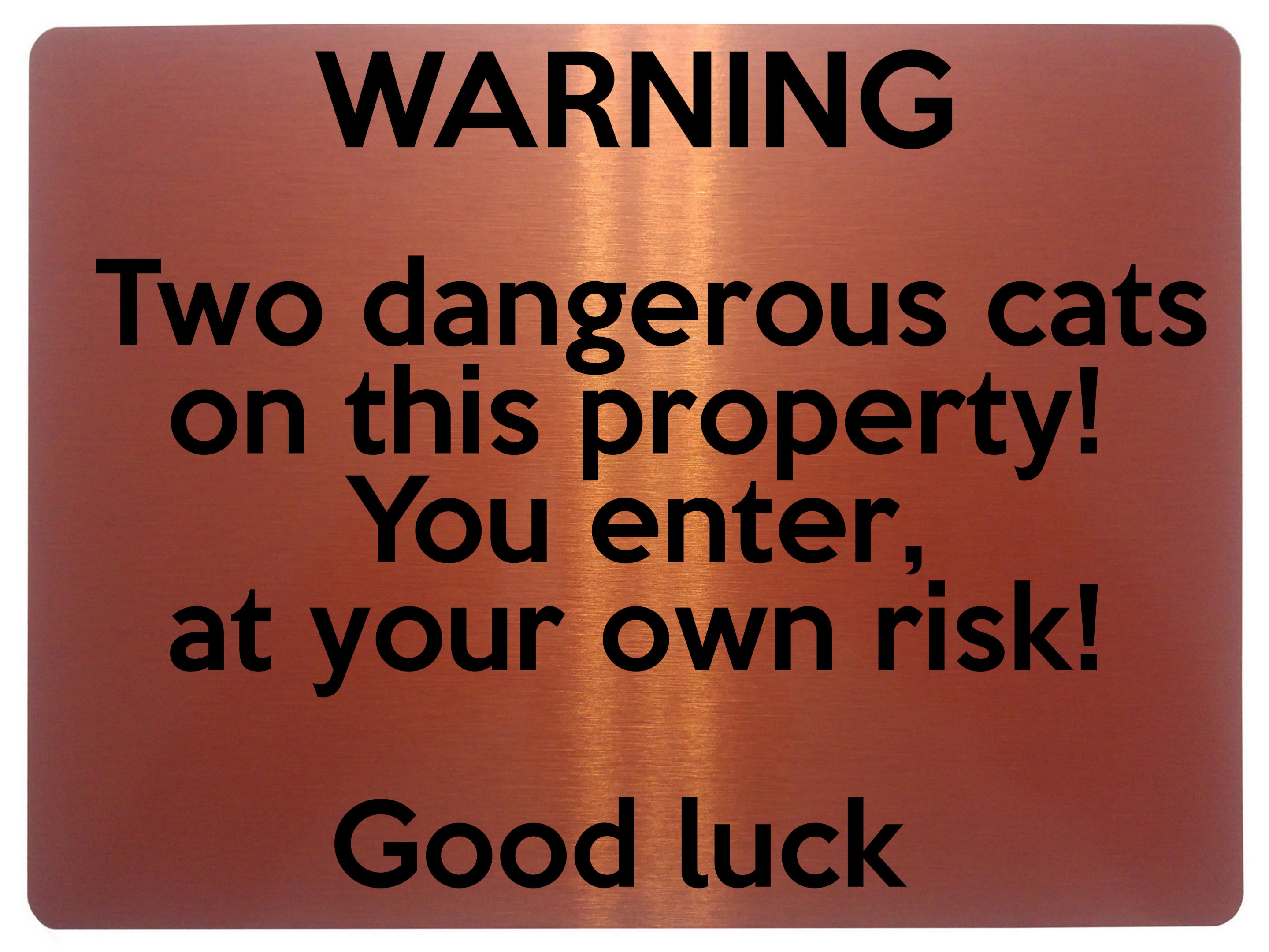 1637 Two dangerous cats on this property!  Metal Aluminium Plaque Sign Door Gate