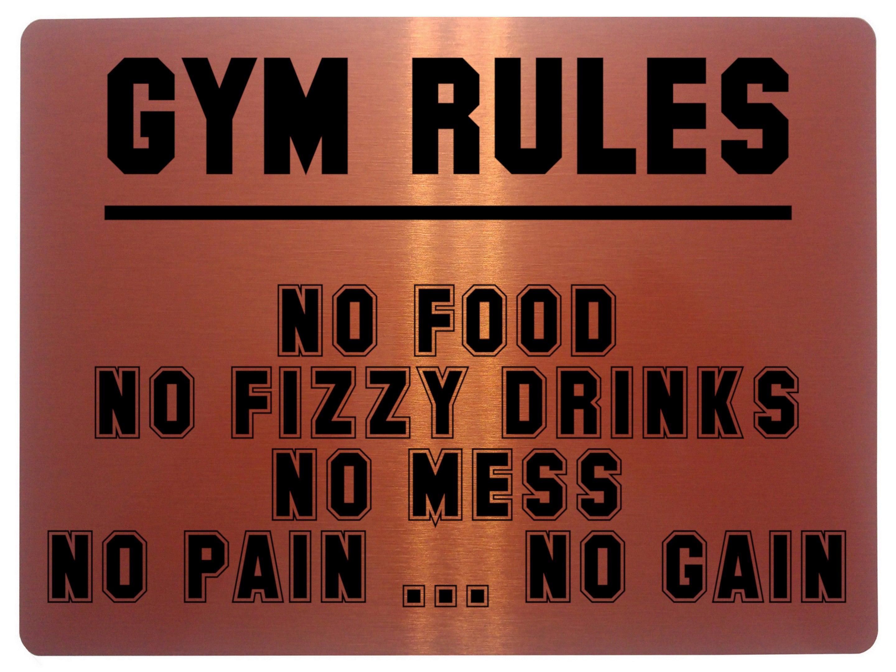 AL006 GYM RULES NO PAIN NO GAIN Fitness Metal Aluminium Plaque Sign Door Wall
