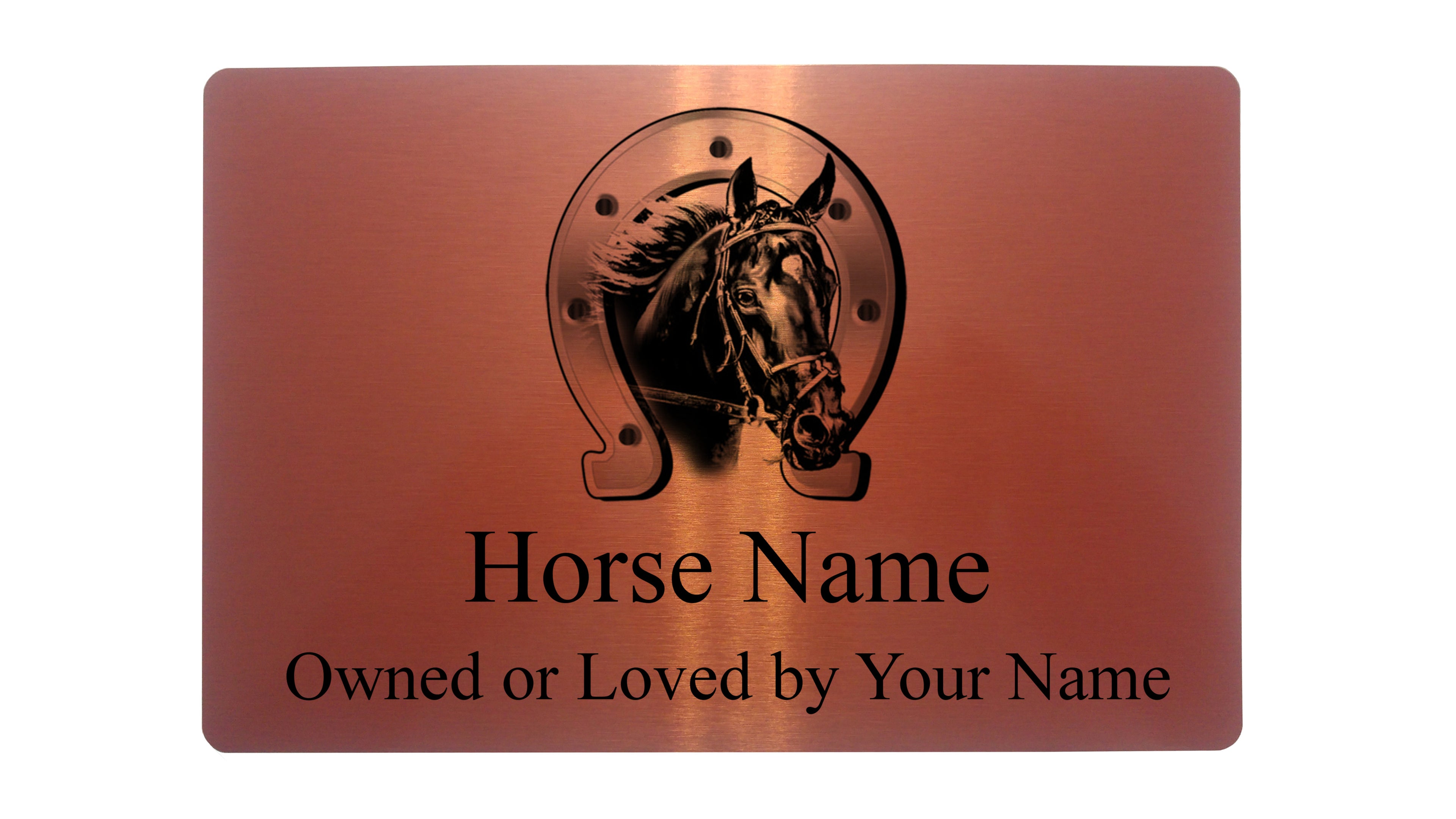 Personalised Horse Shoe Pony Name Brushed Gold Metal Aluminium Sign Stable Door Plaques Gift
