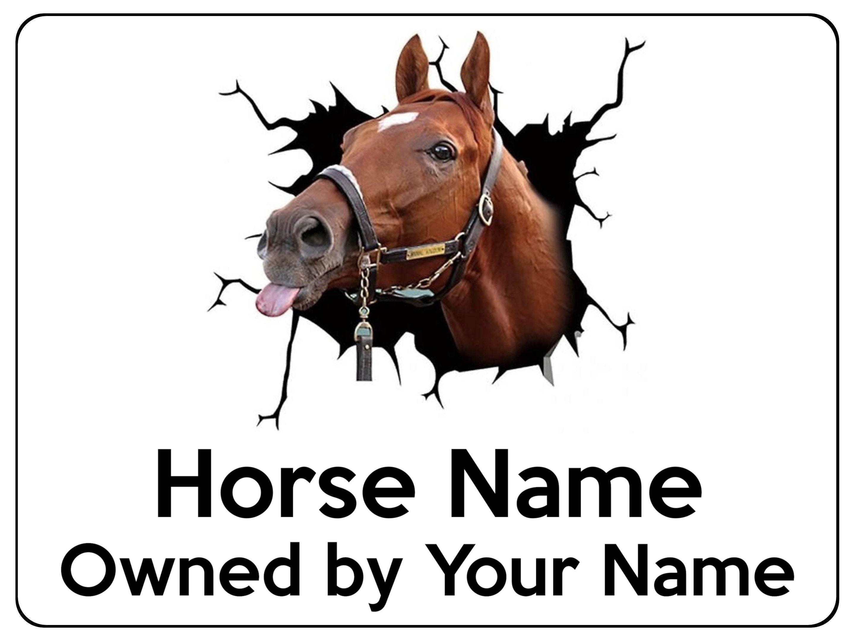 2148 Custom Personalised Horse Pony Metal Aluminium Sign Plaque Stable Door Gate
