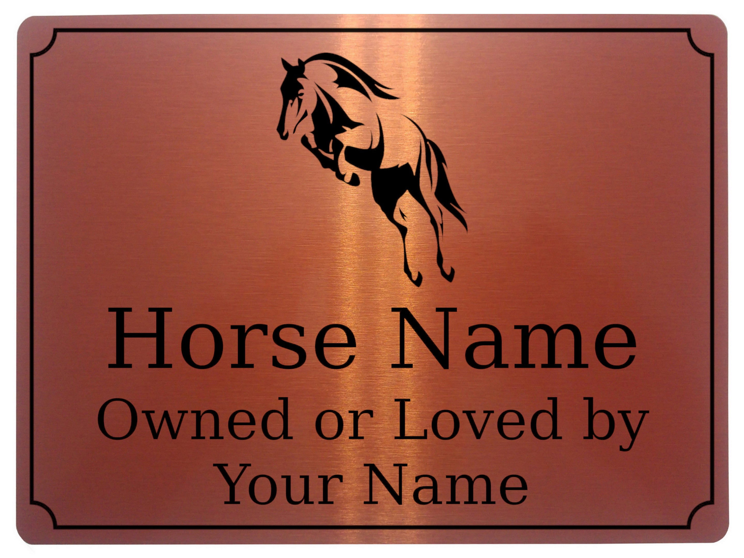 592 Custom Personalised Horse Name Pony Metal Aluminium Sign Stable Door Plaque