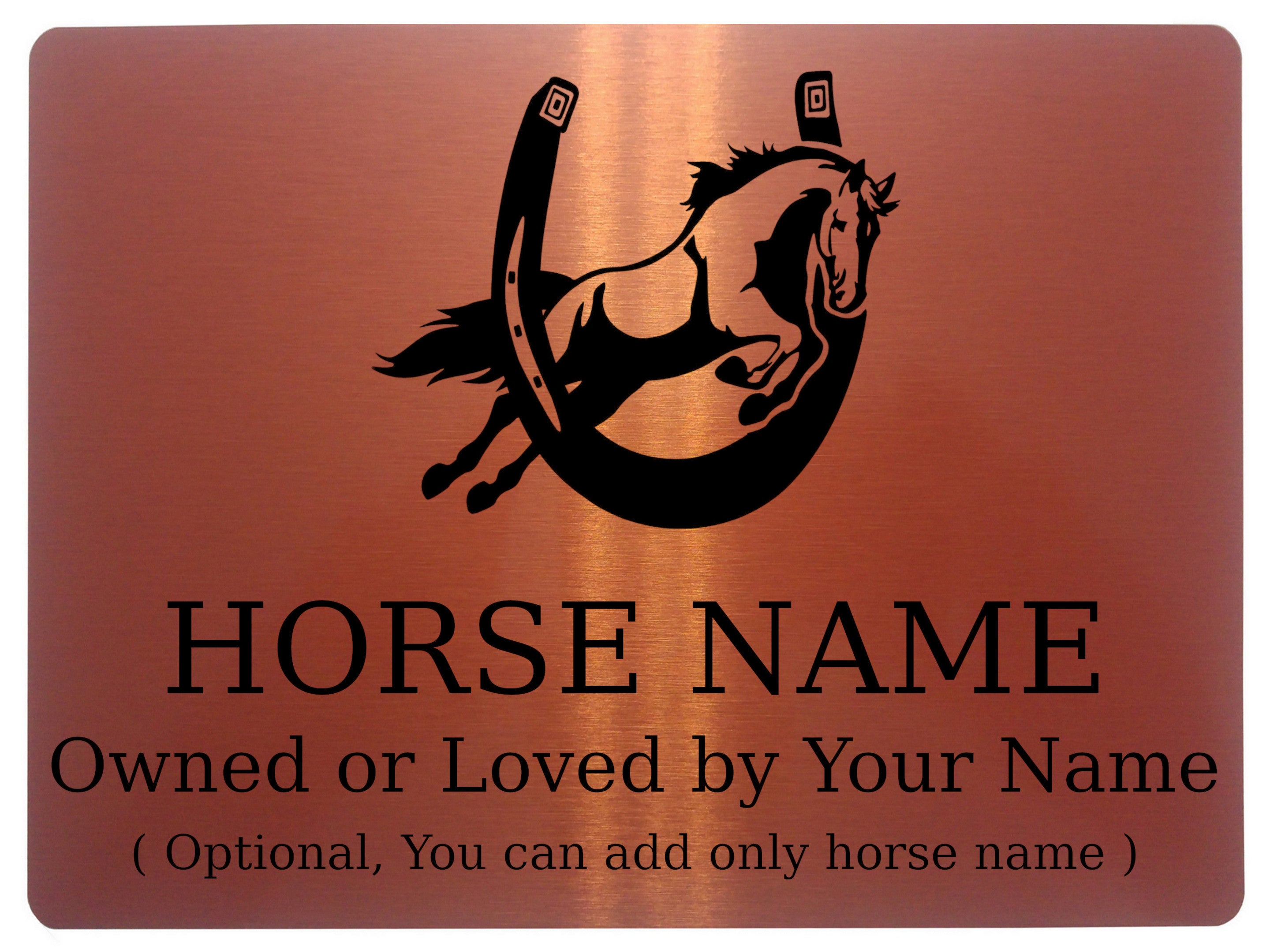 756 Custom Personalised Horseshoe Name Pony Metal Aluminium Sign Stable Door Plaque