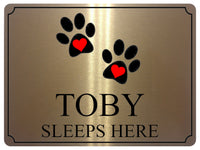 717 Custom Personalised Name SLEEPS HERE Pets Dog Cat Metal Aluminium Sign Plaque Door Wall