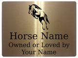 590 Custom Personalised Horse Name Pony Metal Aluminium Sign Stable Door Plaque