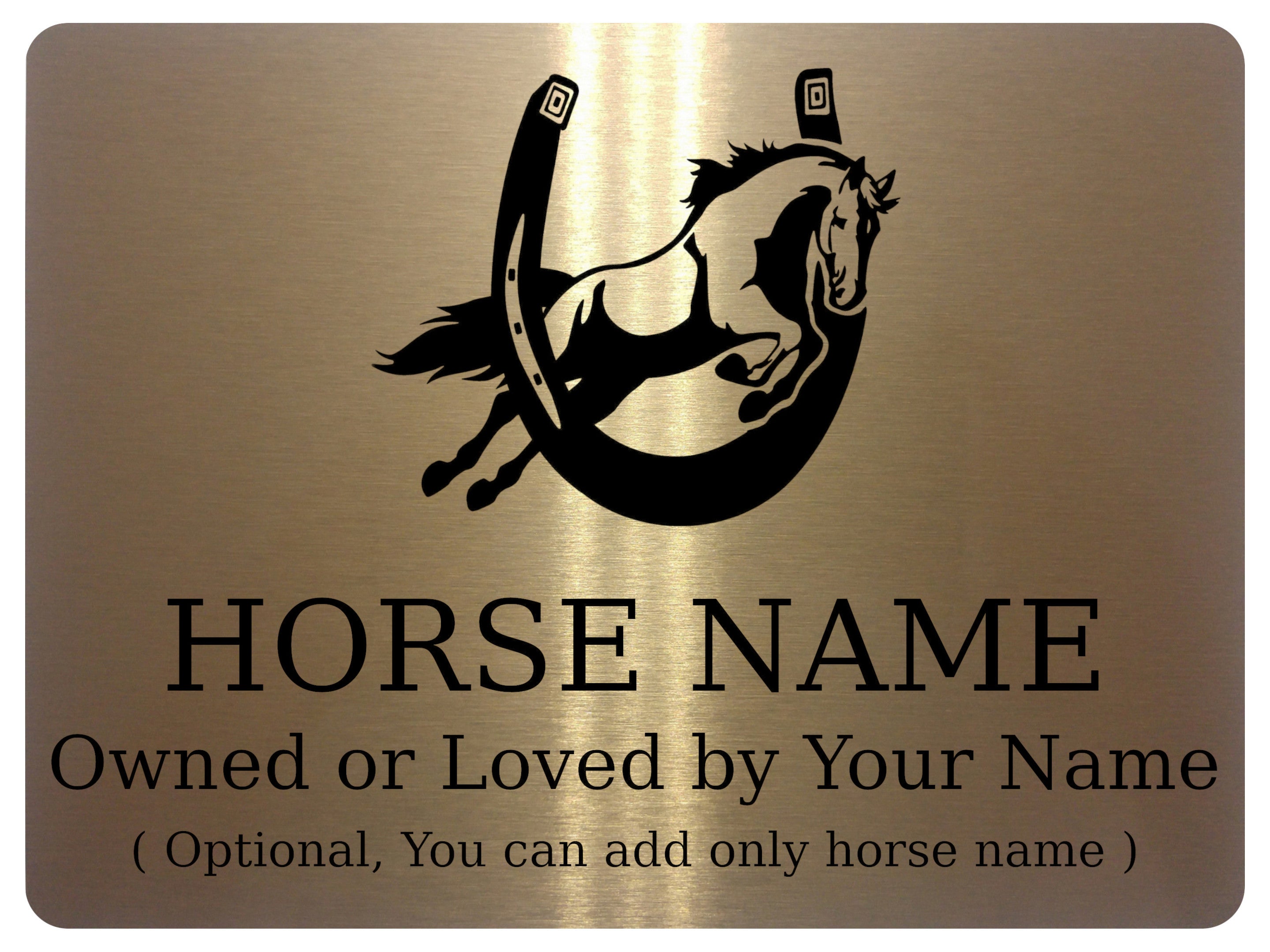 756 Custom Personalised Horseshoe Name Pony Metal Aluminium Sign Stable Door Plaque