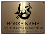 757 Custom Personalised Horseshoe Name Pony Metal Aluminium Sign Stable Door Plaque