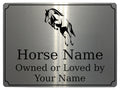 592 Custom Personalised Horse Name Pony Metal Aluminium Sign Stable Door Plaque