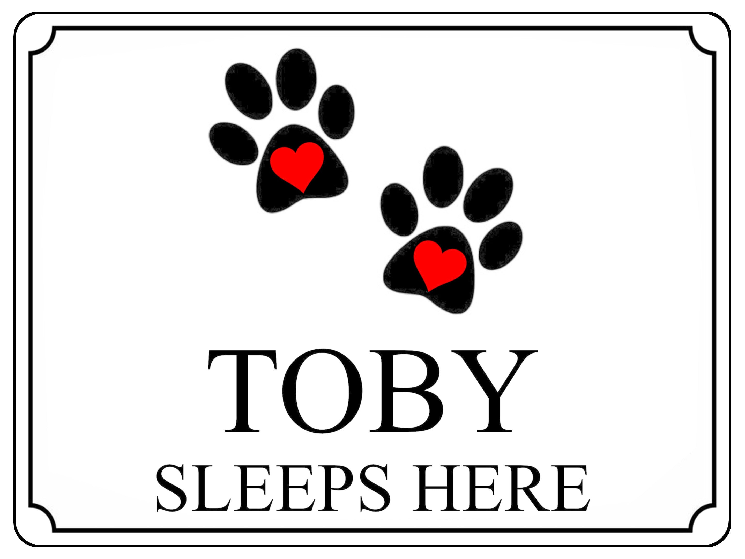 717 Custom Personalised Name SLEEPS HERE Pets Dog Cat Metal Aluminium Sign Plaque Door Wall