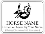 757 Custom Personalised Horseshoe Name Pony Metal Aluminium Sign Stable Door Plaque