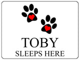 716 Custom Personalised Name SLEEPS HERE Pets Dog Cat Metal Aluminium Sign Plaque Door Wall