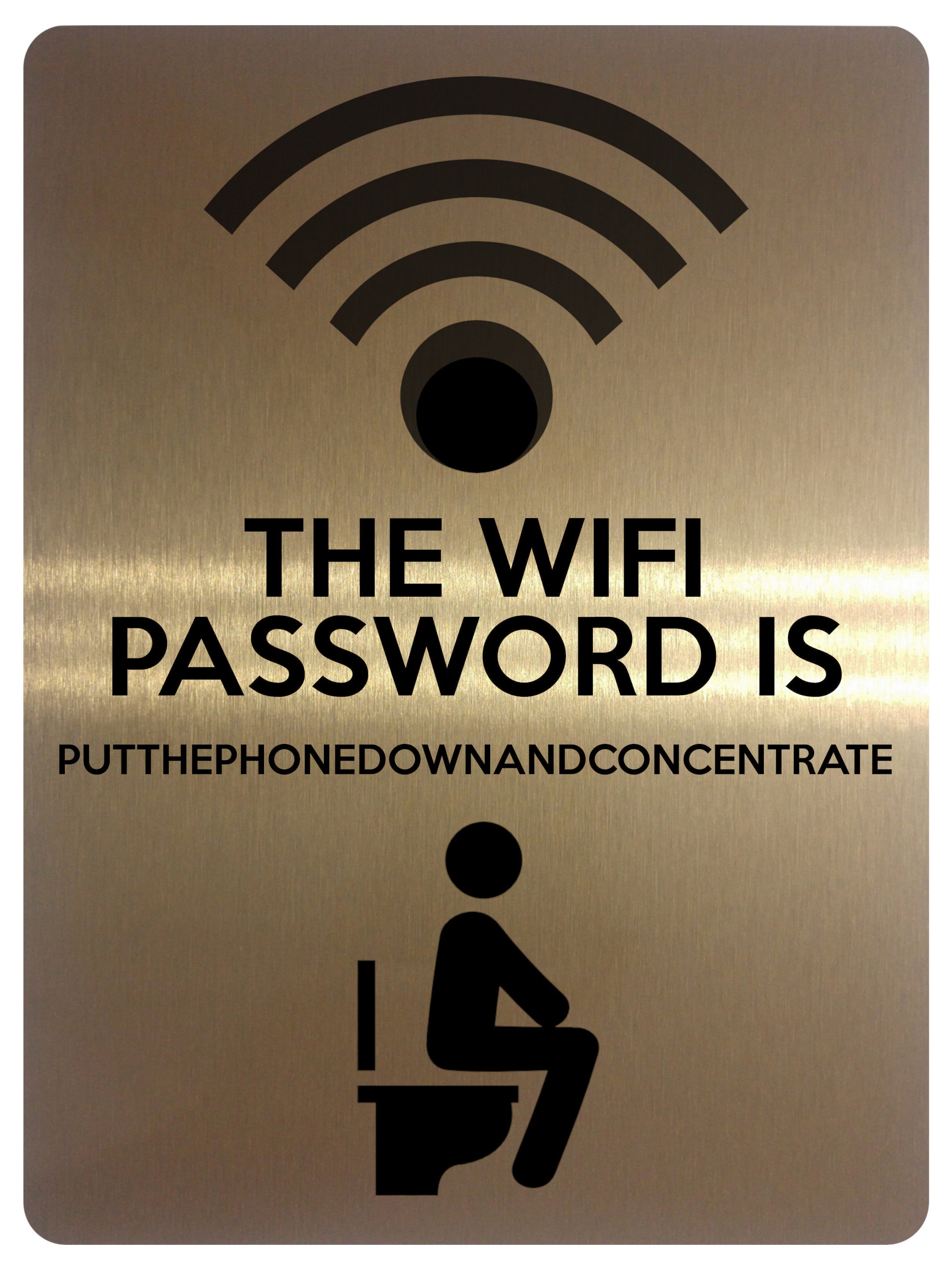 1855 THE WIFI PASSWORD IS  PUTTHEPHONE. Toilet Funny Metal Aluminium Plaque Sign
