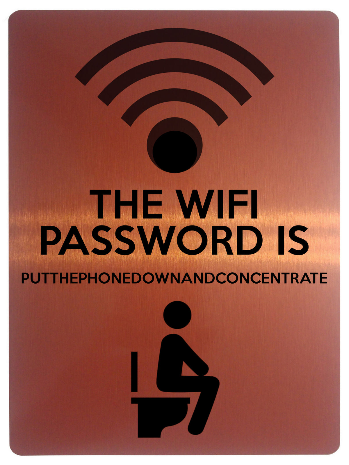 1855 THE WIFI PASSWORD IS  PUTTHEPHONE. Toilet Funny Metal Aluminium Plaque Sign