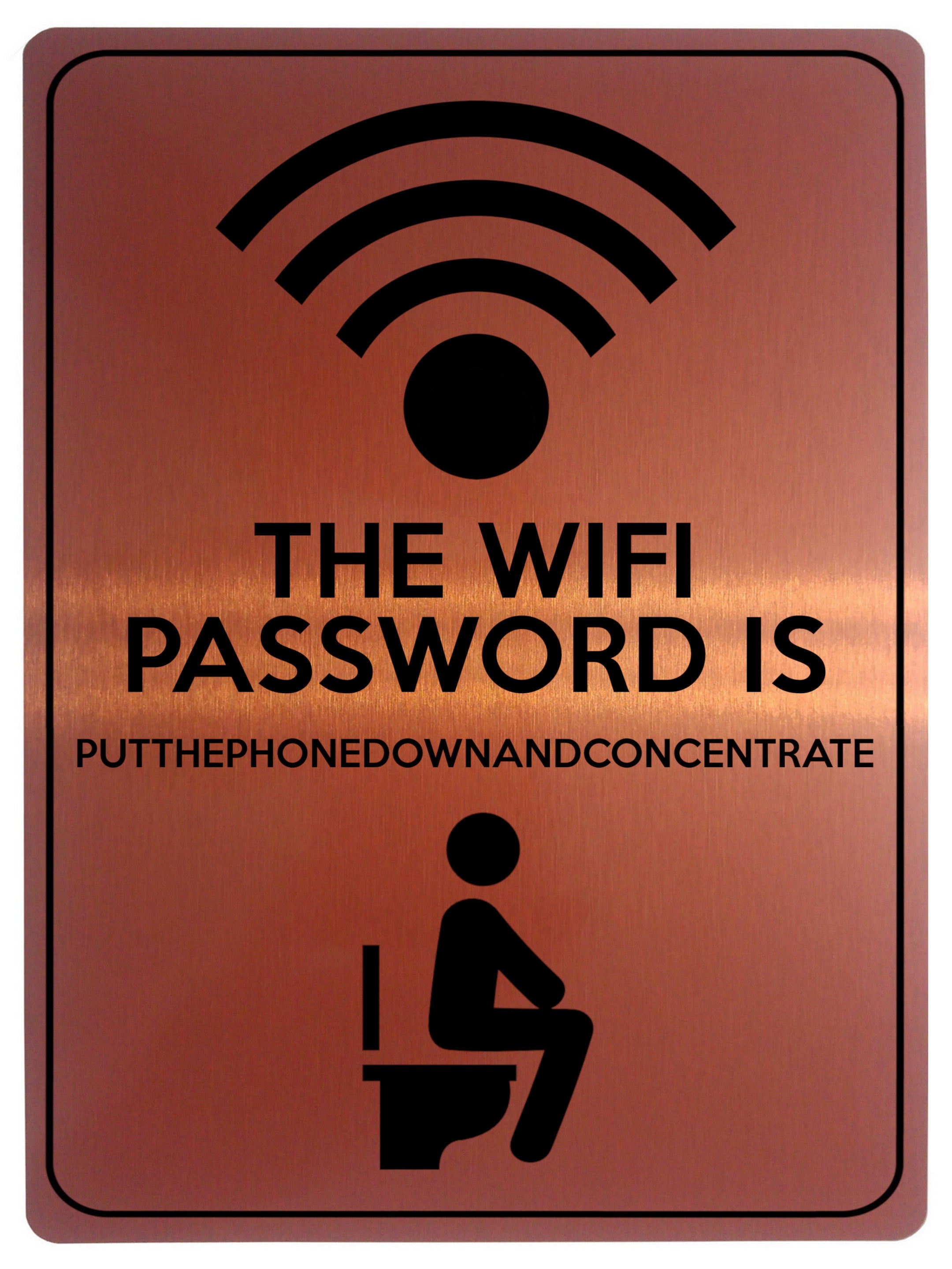1856 THE WIFI PASSWORD IS  PUTTHEPHONE. Toilet Funny Metal Aluminium Plaque Sign